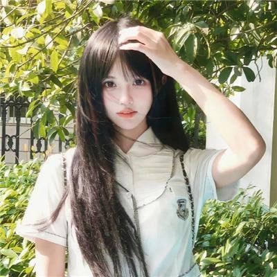 兔年